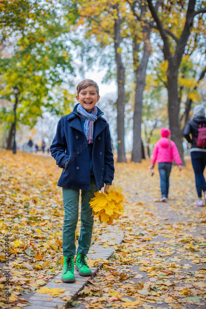 Beautiful child boy in the autumn nature