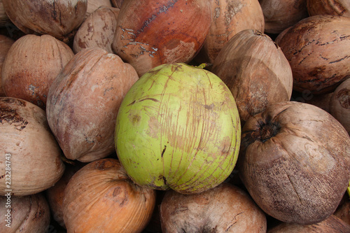 Coconut is prepared for coconut milk.