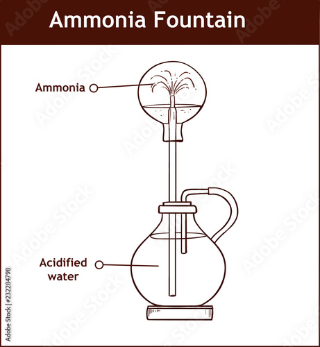 Ammonia fountain experiment to demonstrate the solubility of ammonia gas. Fully labelled diagram