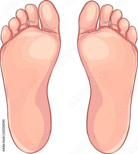 Human foot icon in cartoon style on a white background