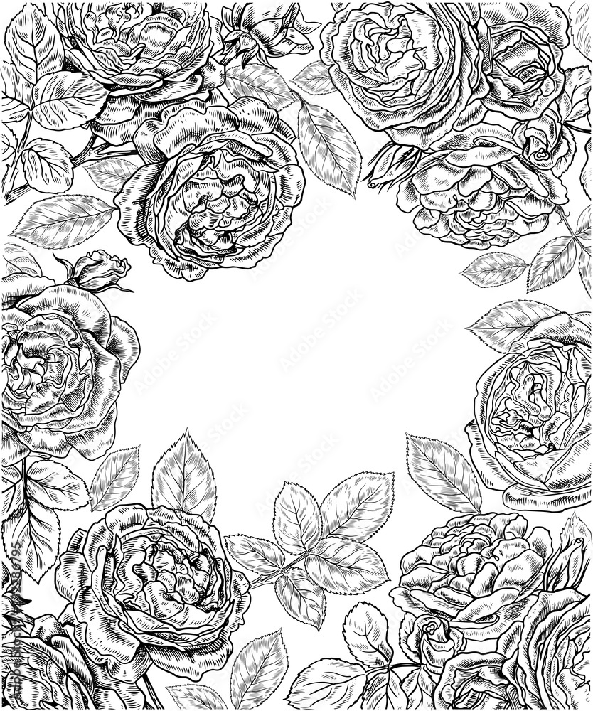 Decorative black and white background with roses and leaves.