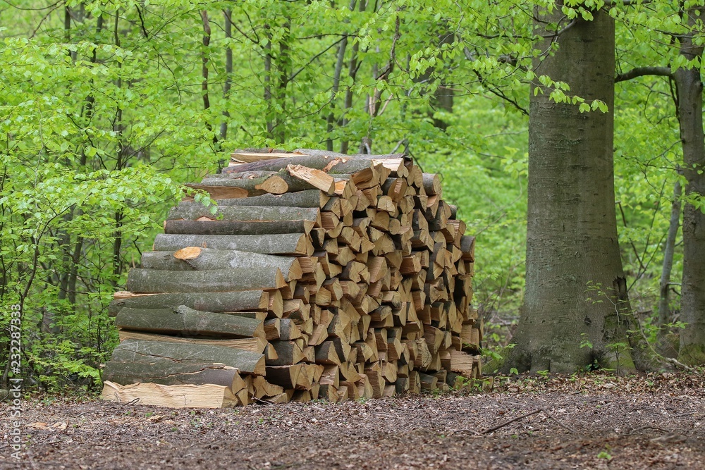 Bois de chauffage