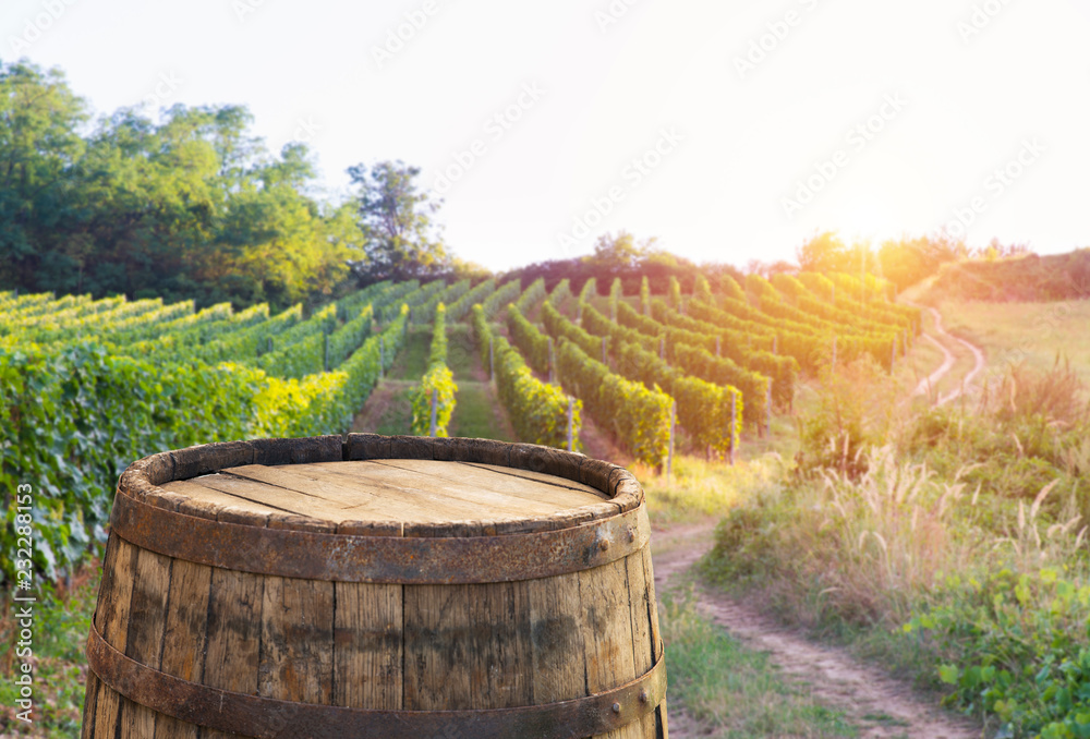 Red wine with barrel on vineyard in green Tuscany, Italy Red wine with barrel on vineyard in green Tuscany, Italy