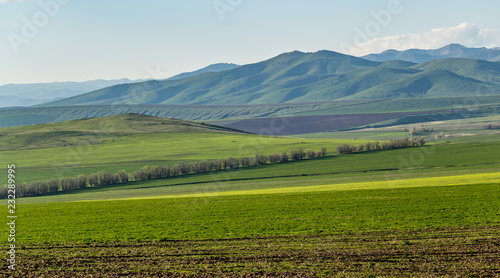 wheat fields in a hilly area