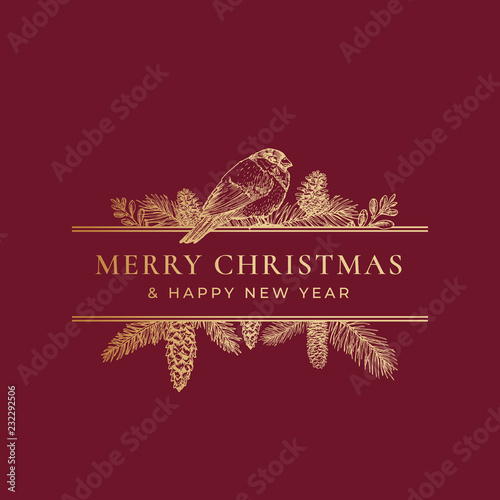 Christmas Greeting Card or Label. Frame Banner with Vintage Typography and Hand Drawn Holiday Illustrations. Mistletoe, Bullfinch Bird and Strobile Branches. Golden Glitter Background Layout.