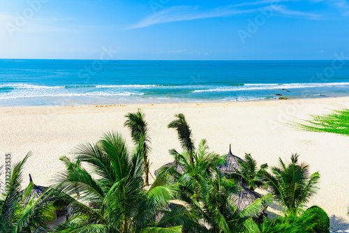 paradise resort beach palm tree sea