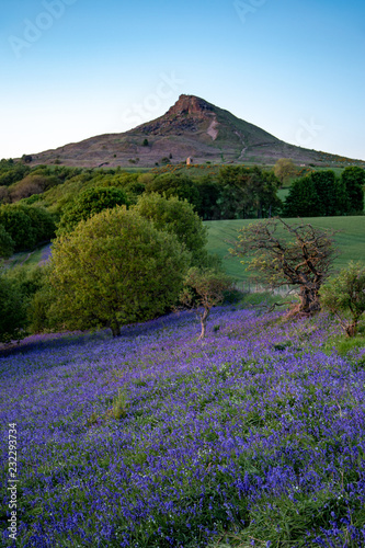 landscape with bluebells and hills photo