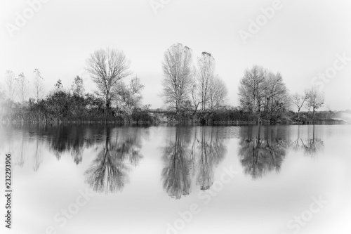 Beautiful autumn landscape. Trees reflected in the water of the lake. Black and white colors