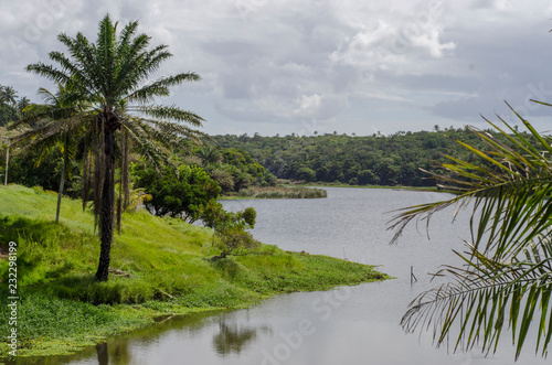 parque pituaçu com um olhar de paz