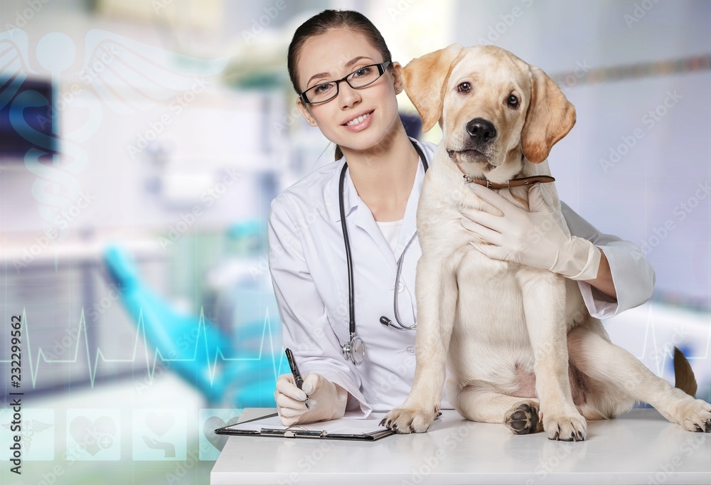 Attractive young female doctor with funny dog patient