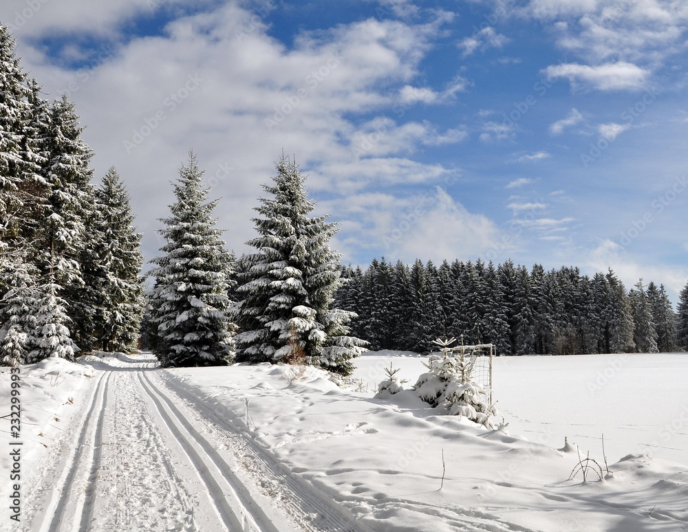 Winter in Ernstthal Winter in Ernstthal