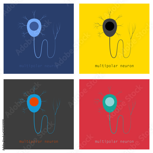 Set of Structure of a motor neuron, vector illustration