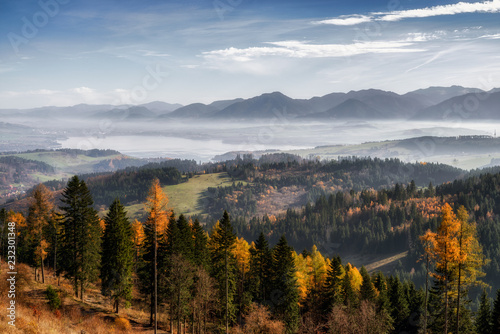 Autumn forest and mountains