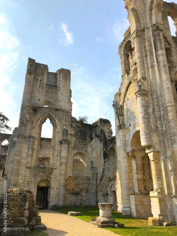 Rovine al sole dell'abbazia di Jumièges, Normandia, Francia