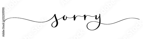 SORRY brush calligraphy banner