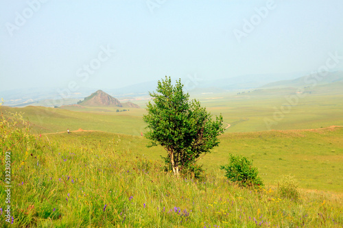 WuLanBuTong grassland scenery, China photo