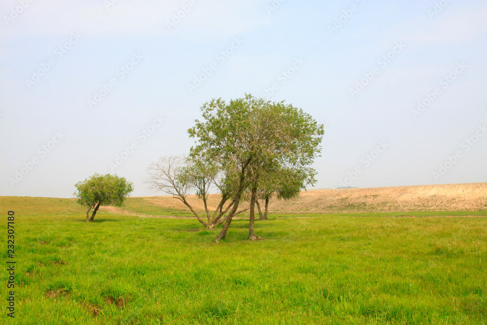 Obraz premium beautiful natural scenery in the WuLanBuTong grassland, China