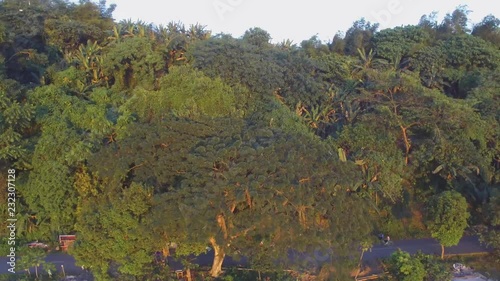 Sampaloc Lake, San Pablo City, Laguna, Philippines - February 20, 2018:  Trees and vegetation on mountain lake shore. Drone aerial. photo