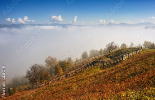autumn morning in the Carpathian mountains. scenic foggy dawn