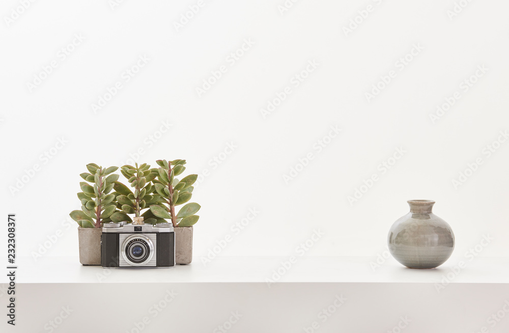 Camera vase of green plant home ornament on the white table.
