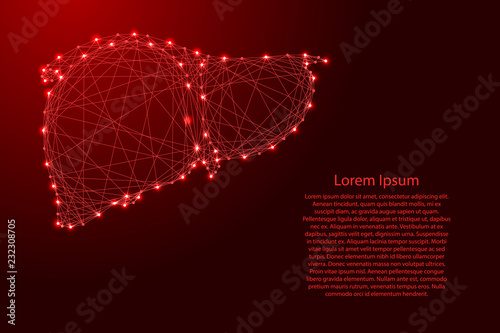 Human liver organ gland of external secretion body from futuristic polygonal red lines and glowing stars for banner, poster, greeting card. Vector illustration.