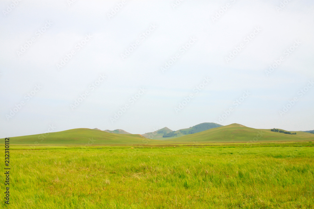 Fototapeta premium beautiful natural scenery in the WuLanBuTong grassland, China