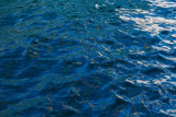 Blue surface of the sea with yellow contour