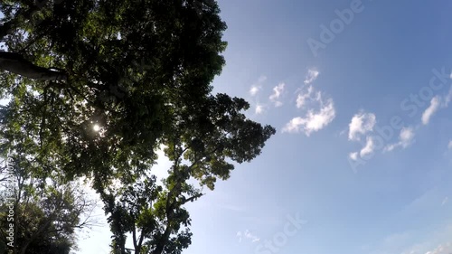 Sampaloc Lake, San Pablo City, Laguna, Philippines - February 25, 2018:  Underside view of Trees and vegetation on mountain lake shore. Low angle rotating shot photo