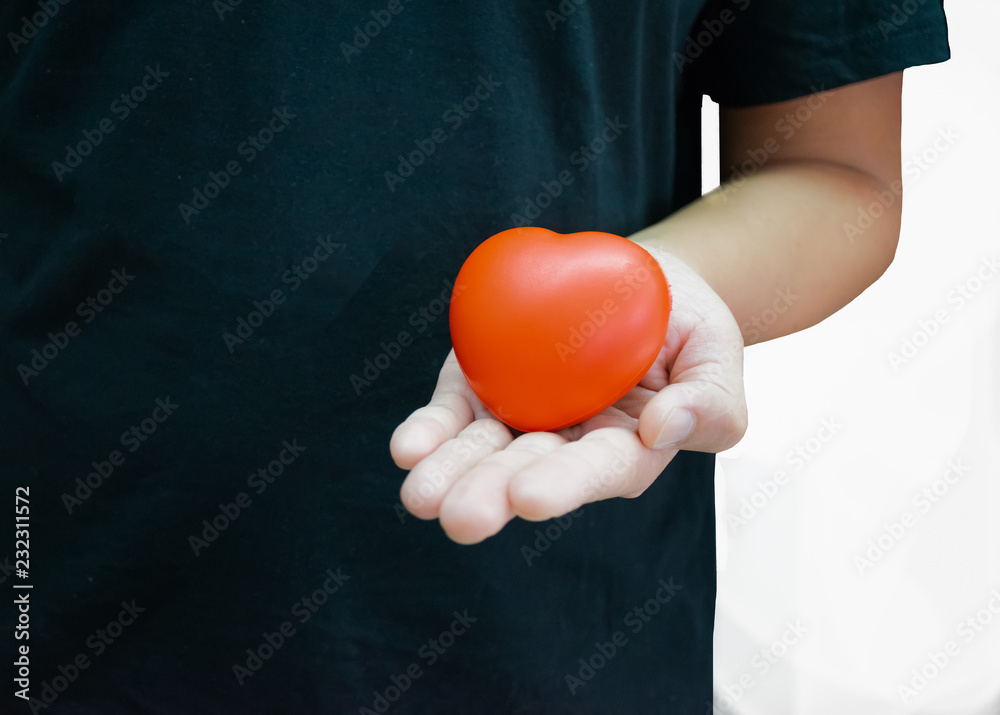 Red heart in the hand isolated on the white background