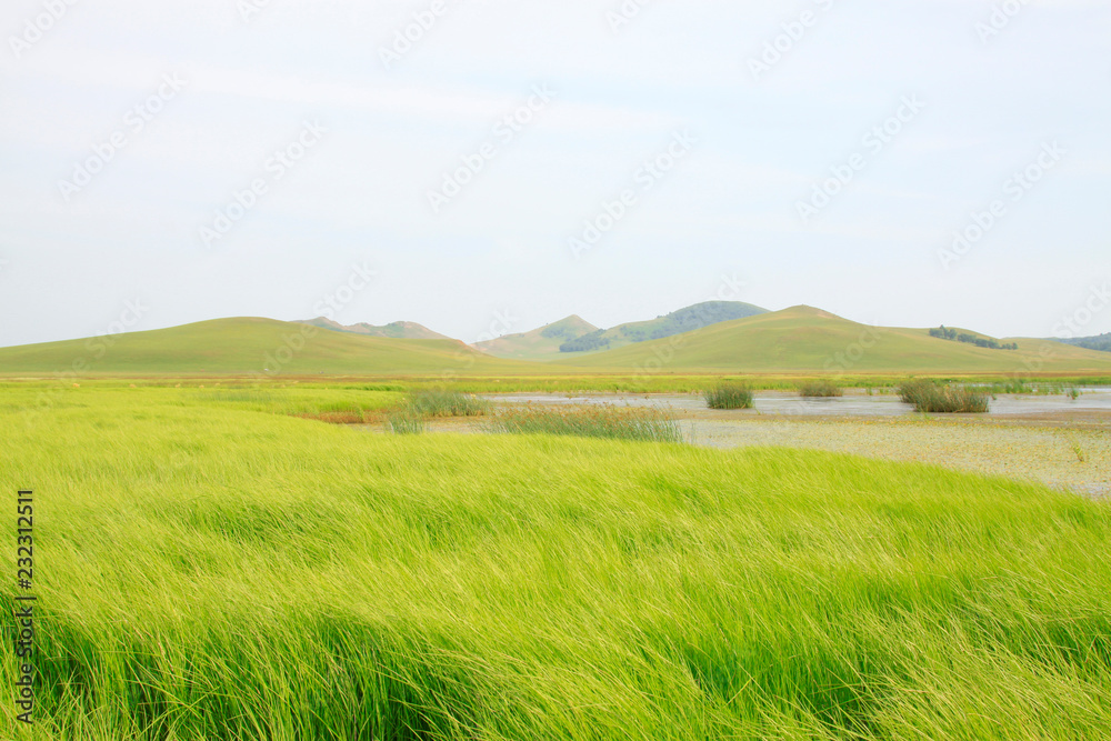 beautiful natural scenery in the WuLanBuTong grassland, China