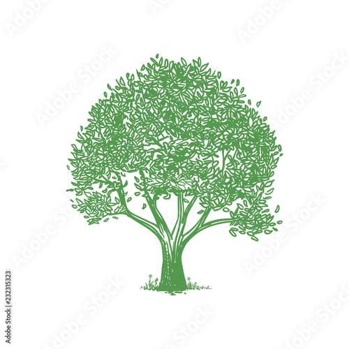 Green Tree Vector Logo Template