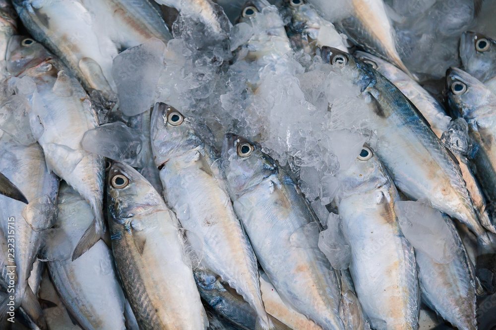 Obraz premium Fresh mackerel fish at the seafood market