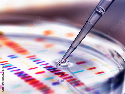 Pipette adding sample to petri dish with DNA profiles in background