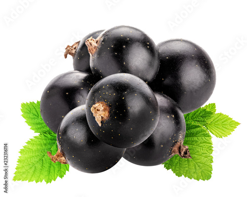 Set of blackcurrants isolated on white background. Clipping path