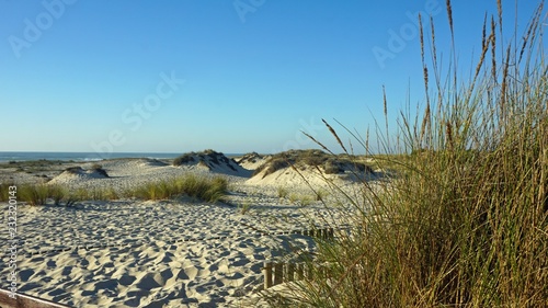 sand dunes of sao jacinto beach near aveiro