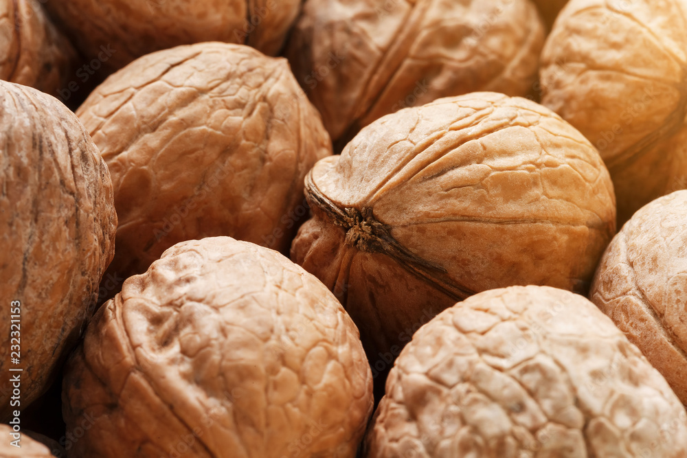 Natural Walnuts in shell background dramatic contrast Natural Walnuts in shell background dramatic contrast