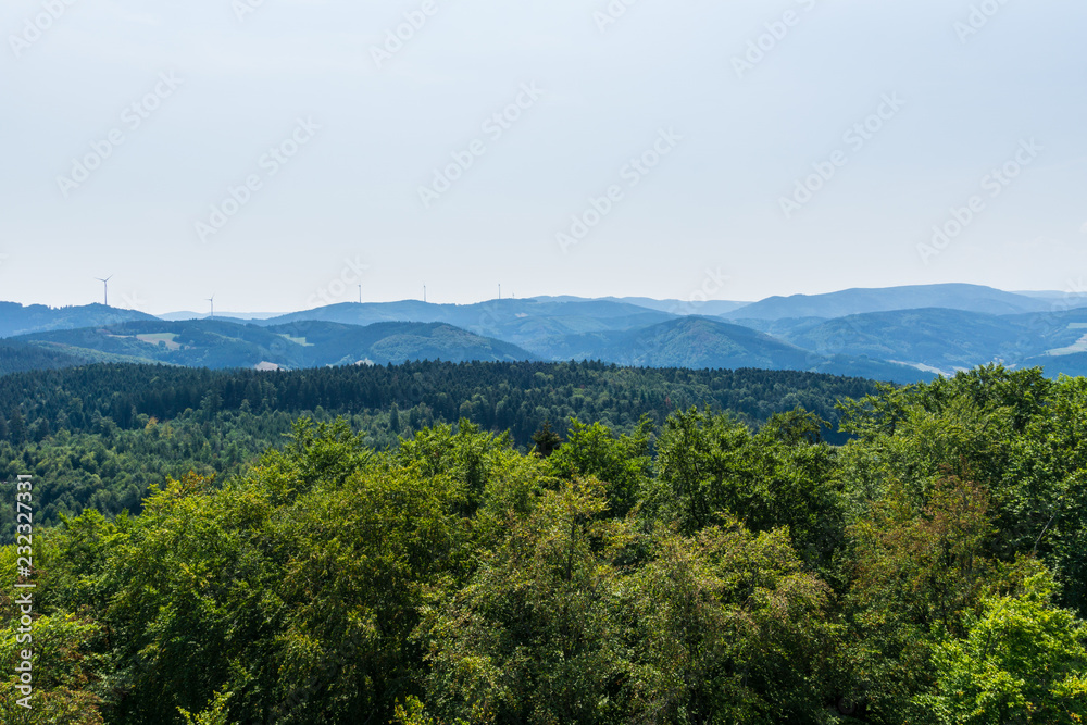 Germany, Aerial view above tree tops of black forest nature landscape and mountains