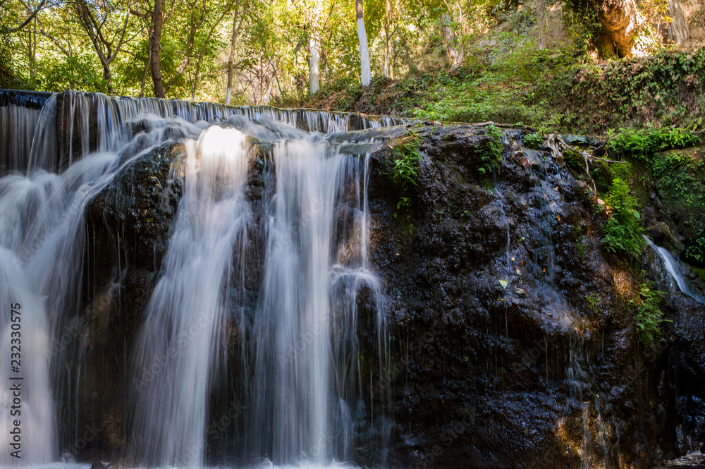 Waterfall in the summer forest