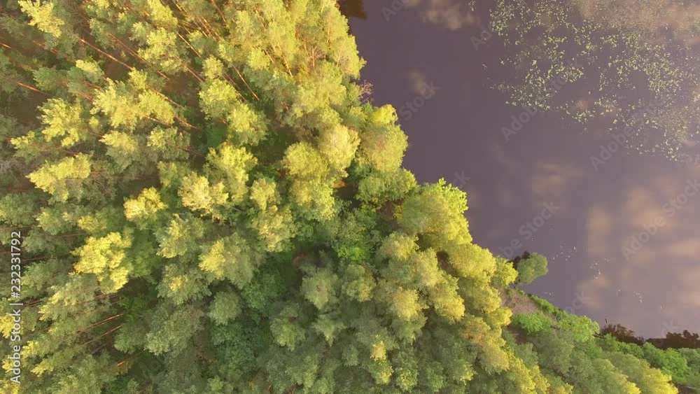 Beautiful amazing european belarusian wild nature. Quadrocopter lands on lake in pine forest. Stracha river, Belarus. Drone aerial shot Beautiful amazing european belarusian wild nature. Quadrocopter lands on lake in pine forest. Stracha river, Belarus. Drone aerial shot