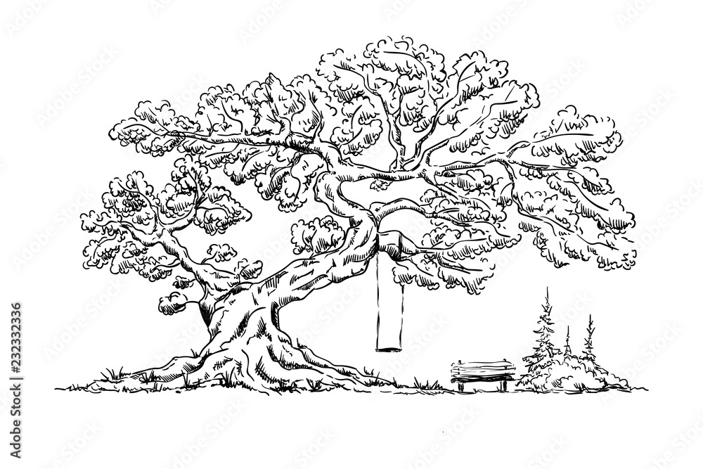 Big old tree