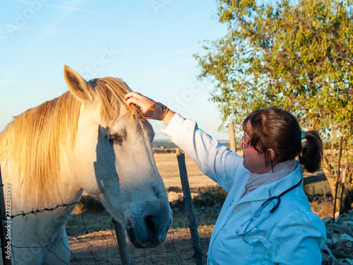 A rural veterinarian woman performing a medical check on a horse on countryside