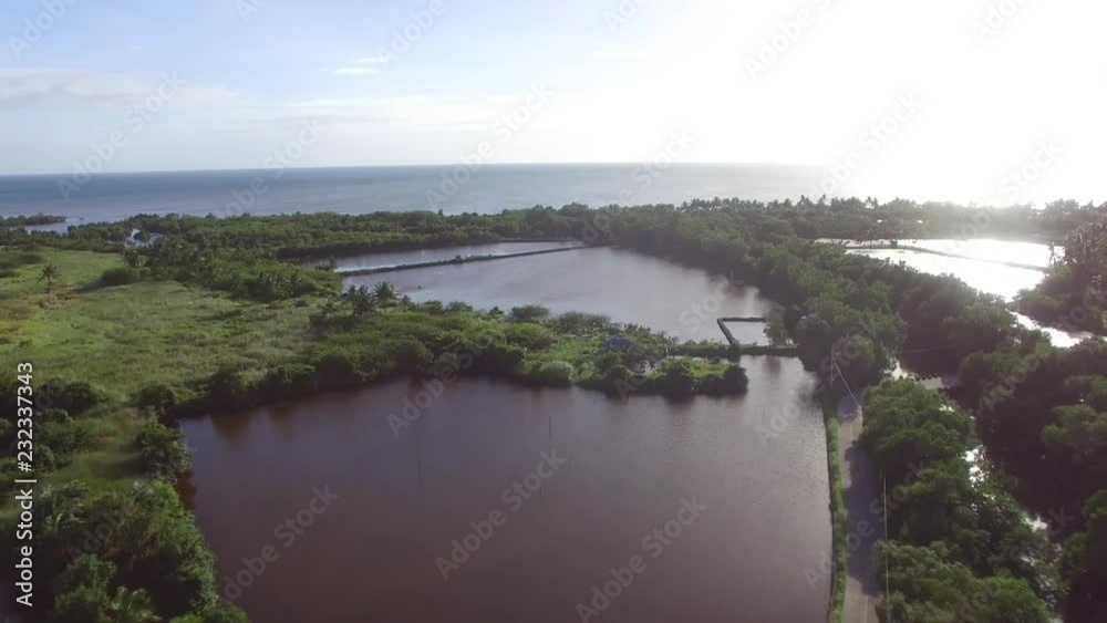 Huts and houses built on man made swamp and marsh land near the sea. Drone Aerial Huts and houses built on man made swamp and marsh land near the sea. Drone Aerial