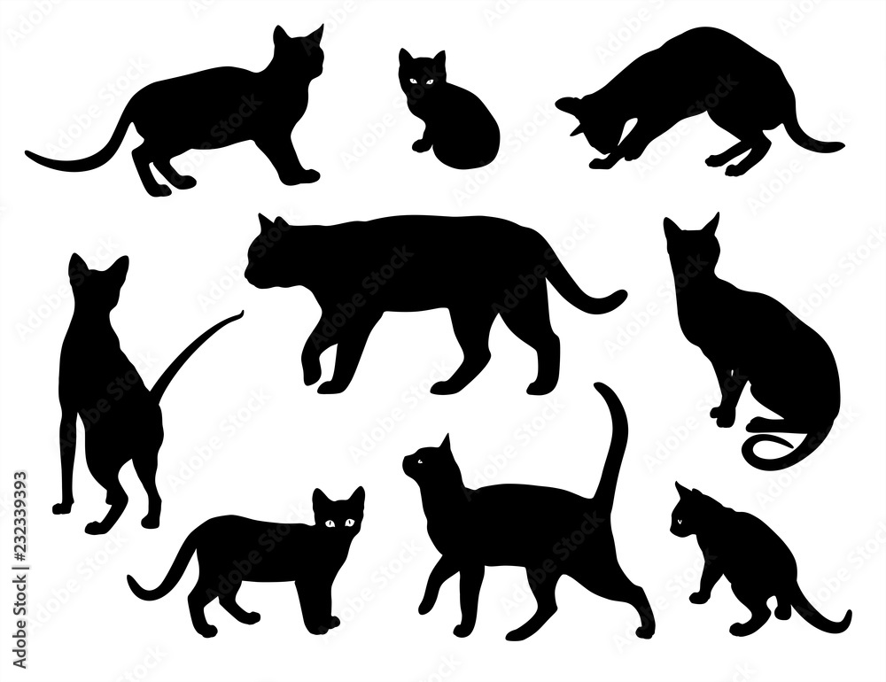 Cat vector silhouette set Isolated On White Background, cats in different poses