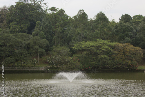 fountain in the park
