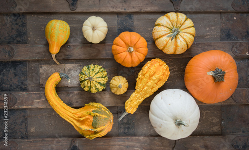 Harvest or Thanksgiving still life of ornamental gourds and pumpkins on an old steamer trunk with flat lay or overhead viewpoint