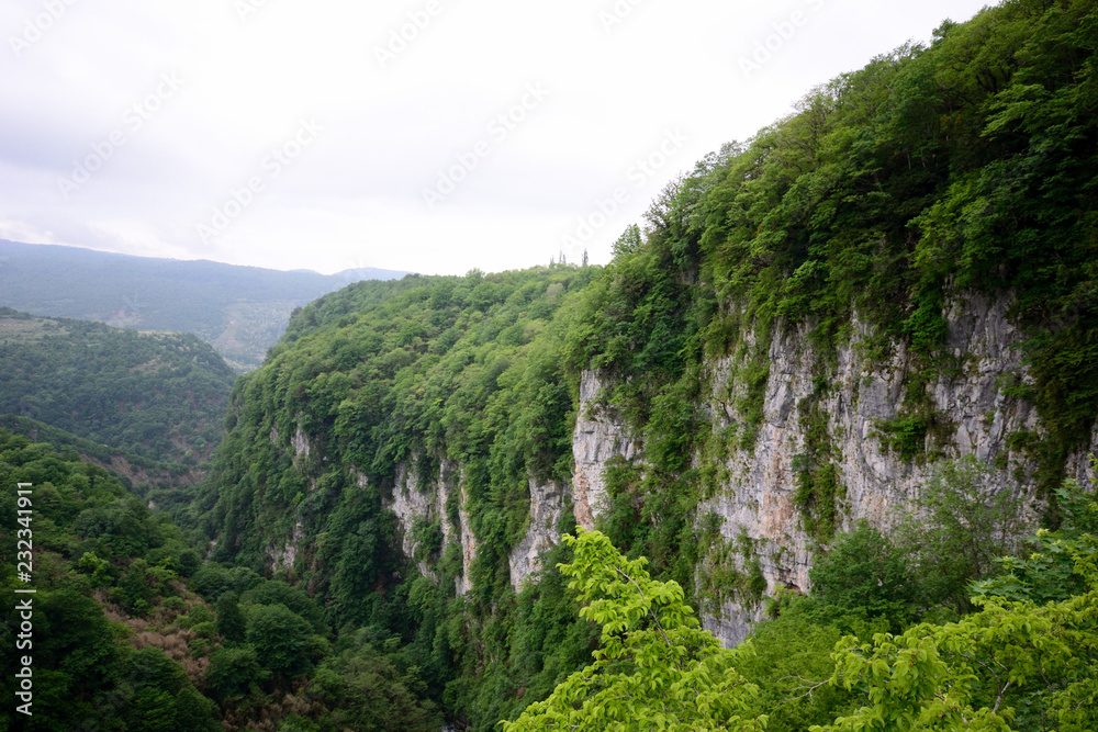 amazing green vertical rock wall of Martvili Canyon