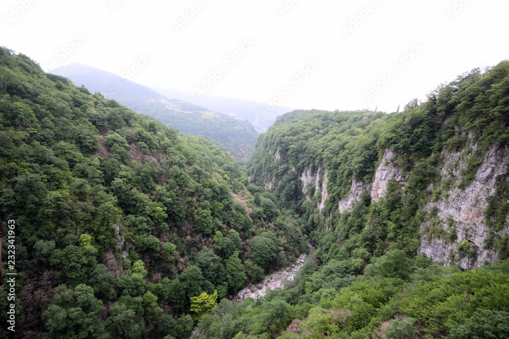Fototapeta premium amazing green vertical rock wall of Martvili Canyon