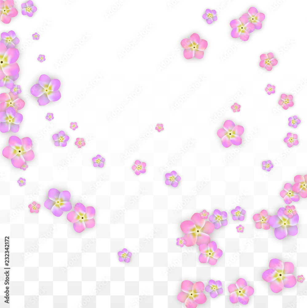 Vector Realistic Pink Flowers Falling on Transparent Background.  Spring Romantic Flowers Illustration. Flying Petals. Sakura Spa Design. Blossom Confetti. Design Elements for Wedding Decoration.