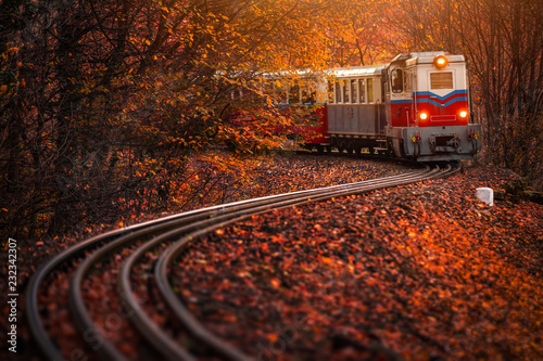 Budapest, Hungary - Children's train on the S track in the Hungarian woods of Huvosvolgy with beautiful autumn forest and foliage photo