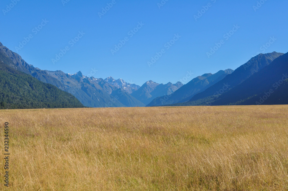 big field in front of mountain range big field in front of mountain range
